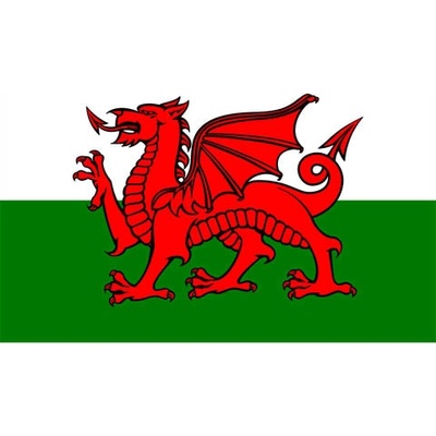 Vlajka Fostex Wales (Veľká Británia) 1,5x1 m