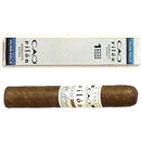 CAO Pilon Robusto