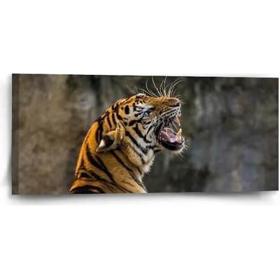 Sablio Obraz Řvoucí tygr - 110x50 cm
