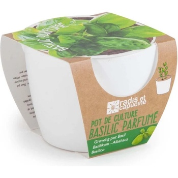 Image 1 of Radis et Capucine Бяла саксия БИО Босилек (029653)