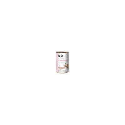 Brit Veterinary Diet Hypoalergénne monoproteínové krmivo pre morčacie mäso 400 g