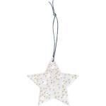 Raeder Коледна висулка Ice Star на точки 8, 5 см (C92224)