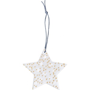 Raeder Коледна висулка Ice Star на точки 8, 5 см (C92224)