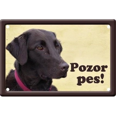 Plechová psí cedule, Flat coated retriever, Pozor pes