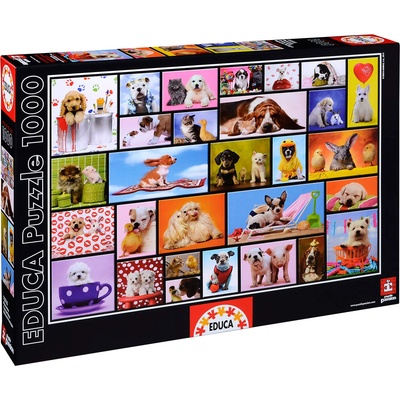 Educa Пъзел Educa от 1000 части - Споделени моменти (EDU15518)
