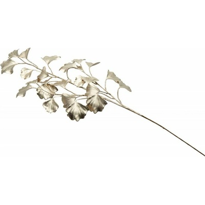 Chaks Vetvička - Ginkgo biloba Champagne