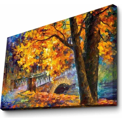 Wallity Obraz LEONED 70x100 cm vícebarevný