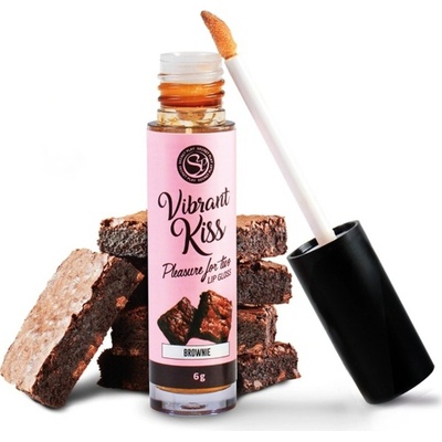 Secret Play Vibrant Kiss Lip Gloss Brownie 6 g