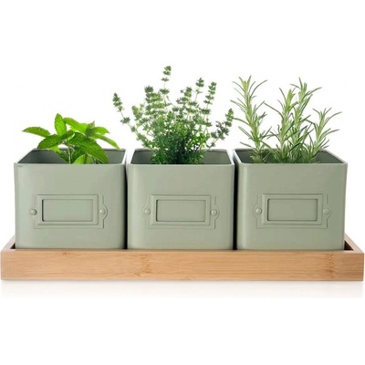 Květináč bylinky GREENISH 11,5x11,5 cm 3 ks+podtácek