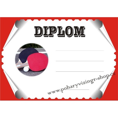 VIZINGR Ping pong diplom A4 č.19