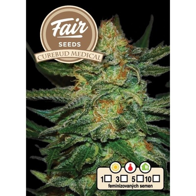 Fair Seeds Cure Bud Medical semena neobsahují THC 10 ks