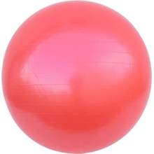 Unison gym ball 55 cm