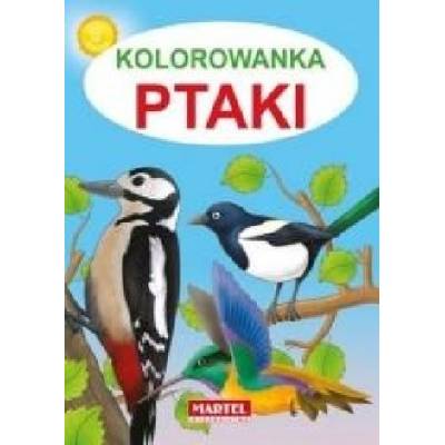 Kolorowanka. Ptaki - Żukowski Jarosław