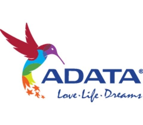 Adata AD4U26668G19-SGN