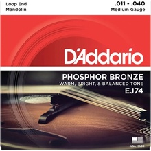 D´Addario EJ74