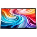 Acer Portable PD193QEb
