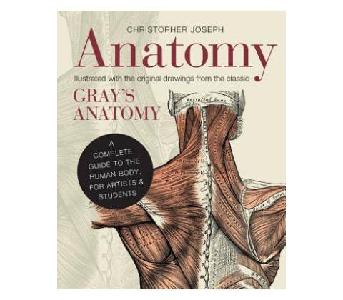 Anatomy - Joseph Christopher