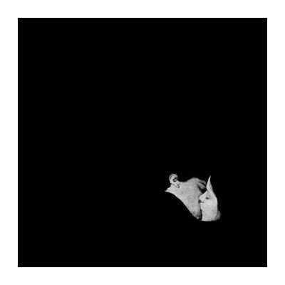 Bob Moses: Days Gone By LP