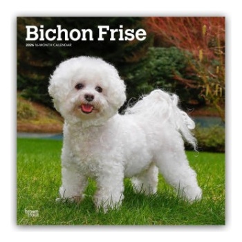 Browntrout Verlags GmbH Bichon Frisé 2026 - 16-Monatskalender | BrownTrout Publishers Inc