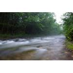 DIMEX ART Флизелинов фототапет река в мъгла 375 x 250 см