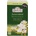 Ahmad Tea Чай Зелен Jasmine Romance Ahmad Tea 40гр. 20бр