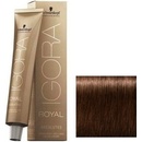 Farby na vlasy Schwarzkopf Igora Royal Absolutes 5-60 svetlá hnedá čokoládová prírodná 60 ml