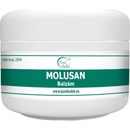 Karel Hadek Molusan balzám na molusky 50 ml
