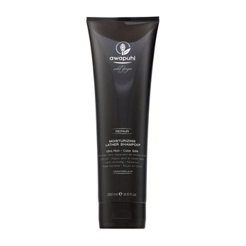 Paul Mitchell Awapuhi Wild Ginger Repair Šampón pre regeneráciu 250 ml
