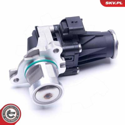 AGR - Ventil ESEN SKV 14SKV185