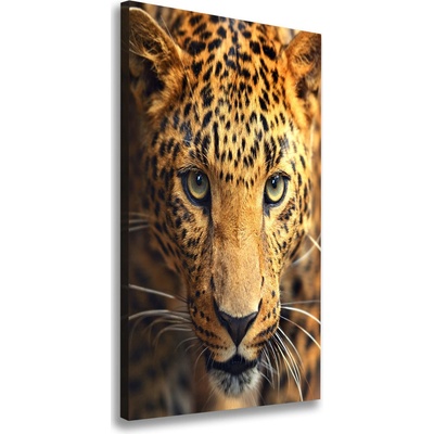 Vertikálny moderný obraz canvas na ráme Leopard 50x100 cm