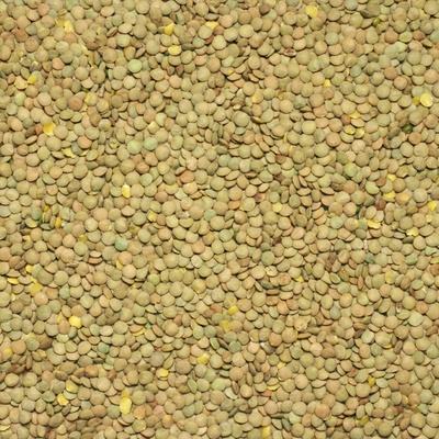 Les Fruits du Paradis Zelená čočka BIO 3000 g