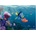Детски фототапет Disney Немо - 360х254см (15112-2223)