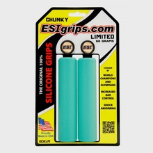 ESI Chunky