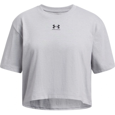 Under Armour Rival šedá