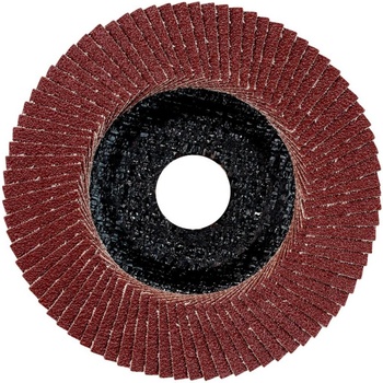 Metabo Lamelový brusný kotouč 22.23 mm 624393000 10 ks