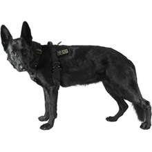 K9 Thorn postroj Delta