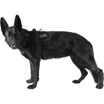 K9 Thorn postroj Delta