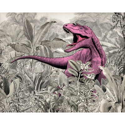 IAX7-0022 Fototapeta vliesová Pinky rozměry 350x280 cm