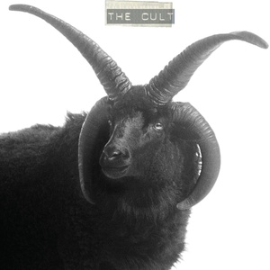 The Cult - The Cult (Limited Edition) (2 LP) (0607618229917)