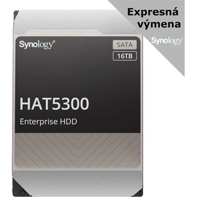 Synology HAT5300 16TB, HAT5310-16T