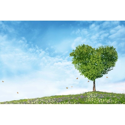 DIMEX ART Флизелинов фототапет дърво с форма на сърце 375 x 250 см