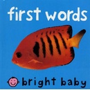 First Words Priddy Roger