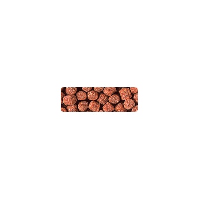 Hikari Wheat-Germ Sinking Medium 1 kg