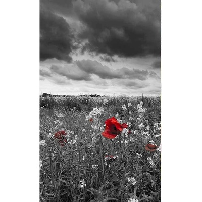 Dimex MS-2-0091 vliesová fototapeta rozměry 150 x 250 cm