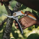 Image 1 of Fiskars P531 PLUS 1057168