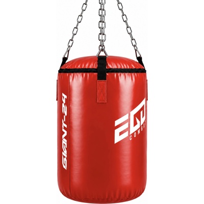GIANT-24 Ego Combat
