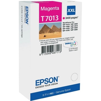 Epson Оригинален мастилен картридж Epson Magenta T7013 за WP4000|4500 "C13T70134010" (RAPO) (C13T70134010)
