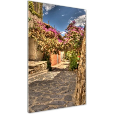Vertikálny foto obraz sklenený Francúzske uličky 50x100 cm