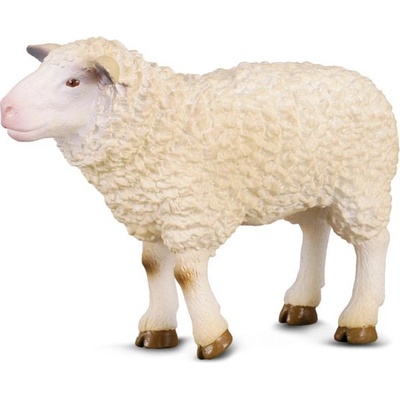 Collecta Ovca