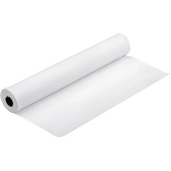 Epson C13S041894